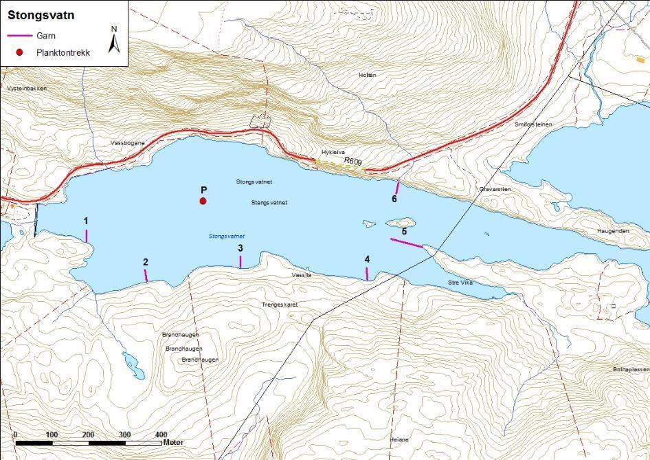 4.4.4 Stongsvatnet Stongsvatnet (figur 32 og bilete 11) ligg i Stongsvassdraget i Askvoll kommune.