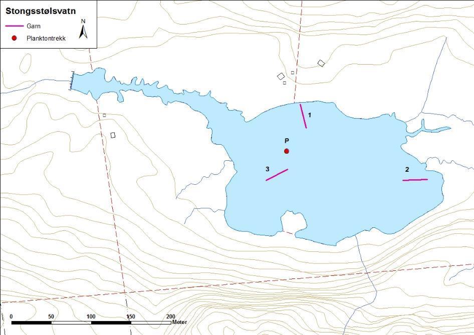 4.4.5 Stongstølsvatnet Stongstølsvatnet (figur 35 og bilete 11) ligg i Askvoll kommune. Vatnet er 0,06 km² stort og ligg 189 moh.