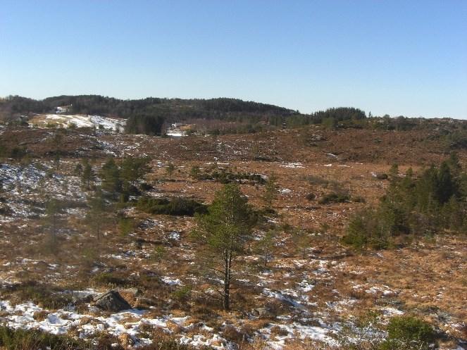 avgjerast i samband med utarbeiding av sentrumsplanen for