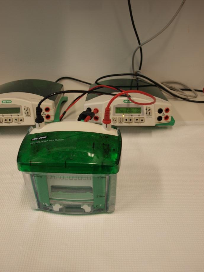 Figur O: Gelkjøringskar og maskin Her vises et plastkar som inneholder en kassett til å sette geler oppi og runningbuffer.