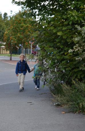 Foto: Ingrid Øvsteng Foto: Ingrid Øvsteng Foto: Ingrid Elisabeth Øvsteng Skuggevik orientering Gangarealer fri for hindringer Overflater som informerer om bruken Informasjon gitt på flere måter