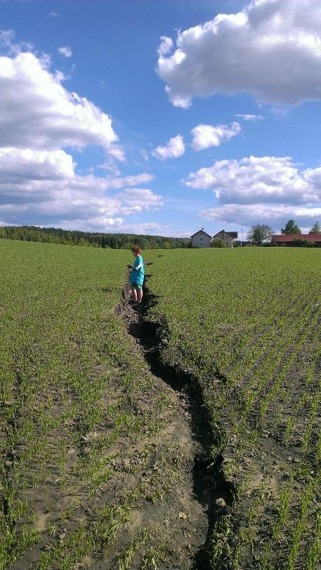 Klimaendring og klimatilpasning.