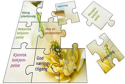 Integrert plantevern -Tiltak for å redusere plantevernmiddelbruken