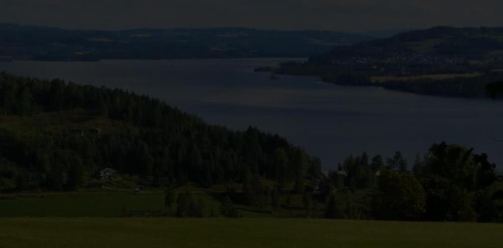 Regionalt miljøprogram Jordbruksavtalemidler 52 mill Oppland, 41 mill Hedmark Fylkesmannen er ansvarlig for utforming, i samråd med faglag og politikere.