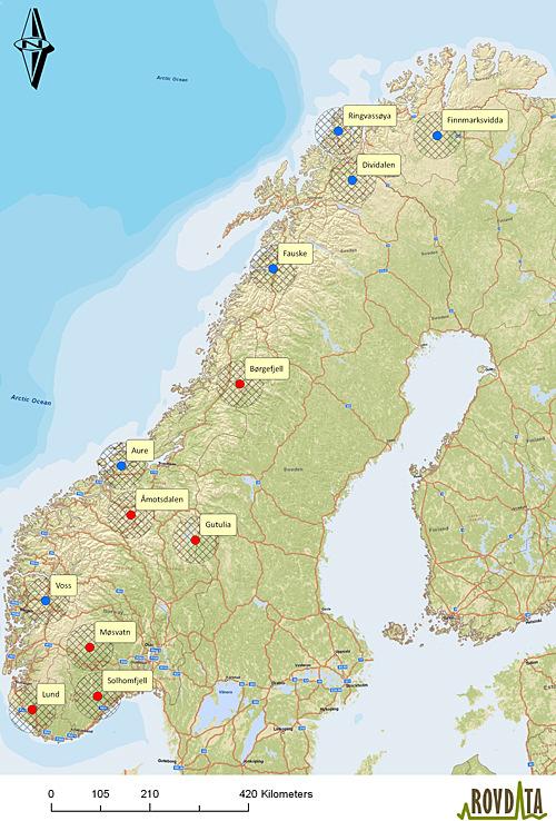 Figur 11: Kart over de foreslåtte områdene for intensiv overvåking av kongeørn i Norge.