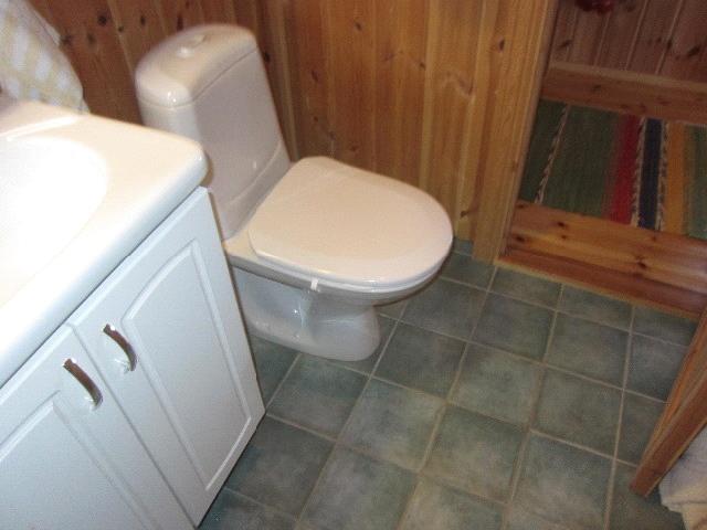 Dusjbad og toalett med klosset. Dusjbad og toalett med dusj. Dusjbad og toalett med servantskap og plass for vaskemaskin. 1.