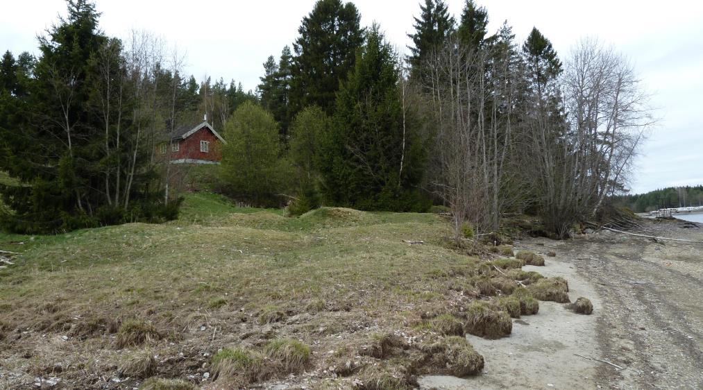 10 E6 Moelv-Biri Konsekvenser for justert trasealternativ i Ringsaker, delutredning for landskapsbilde Kontakten med Mjøsa og sandstrand trekker opp landskapsverdien.