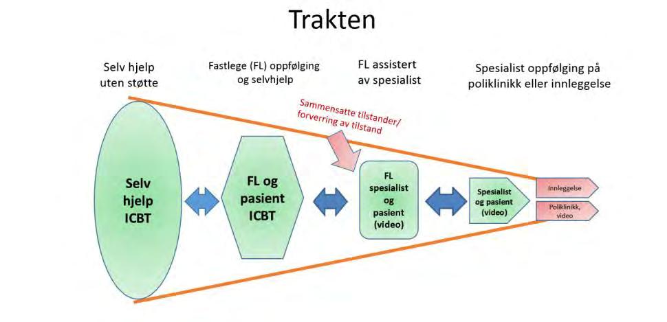 MasterMind Selvhjelp, samhandling og hjemmebehandling Tiltak Internettbasert kognitiv terapi Videosamtaler