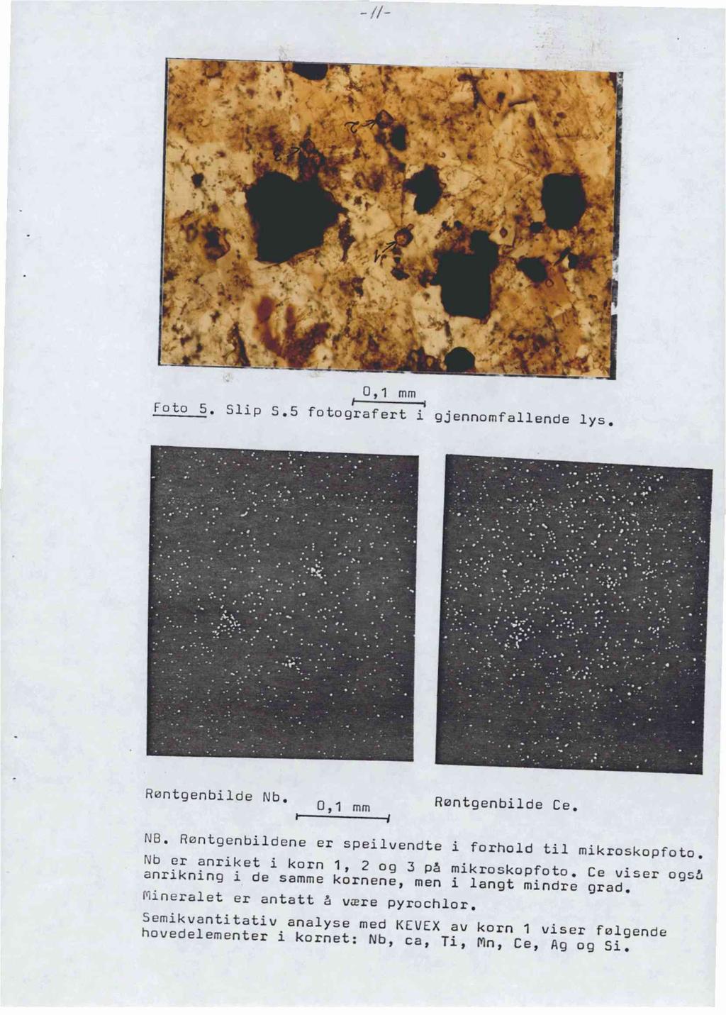 å : 0,1 mm Foto 5. Slip 5.5 fotografert i gjennomfallende lys, Røntgenbilde Nb. 0,1 mm Rontgenbilde Ce. NE).Røntgenbildene er speilvendte i forhold til mikroskopfoto.