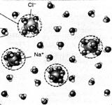hydratiseringsskjell rundt molekylene eller ionene, slik at de dissosierer Dette kan også innebære et problem da vannet vil hindre at polare molekyler kontakter hverandre