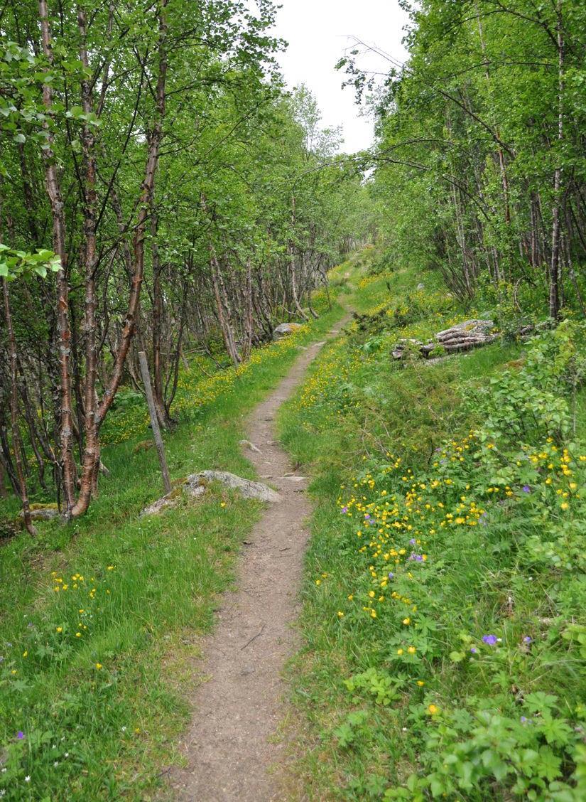 NATURVENNLIG TILRETTELEGGING Side 23 i Merkehåndboka Kanalisert ferdsel kan