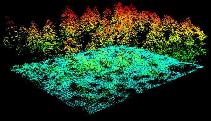 Flybilder og laserdata Grunnlaget for skogbruksplanene er flybilder og laserdata tatt fra lufta.