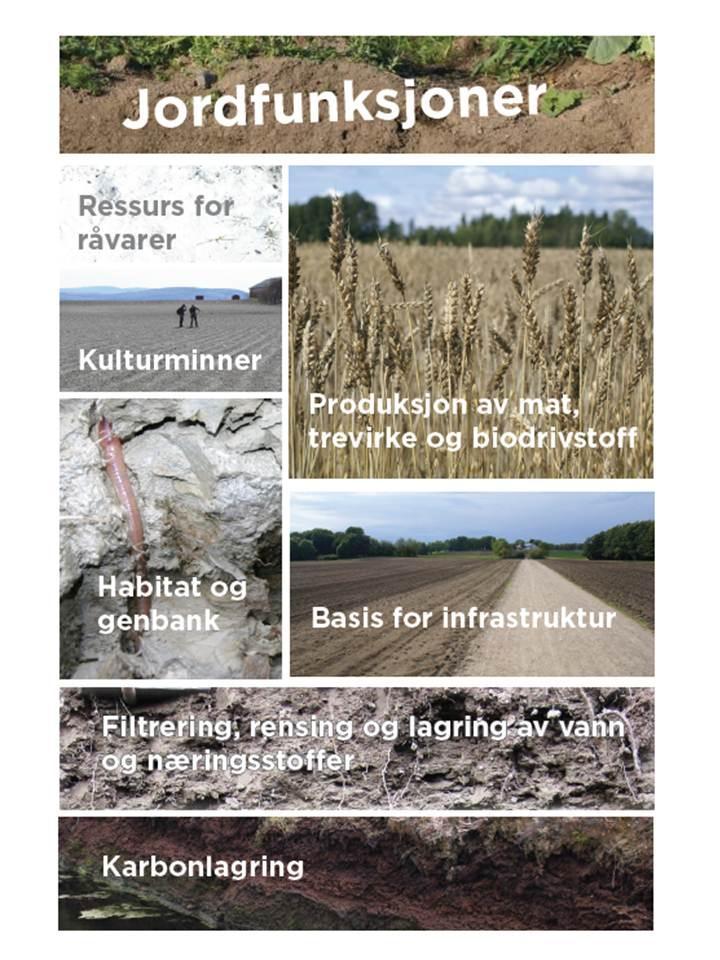 Jordfunksjoner Voksemedium for planter: nyttevekster og naturlig vegetasjon Habitat og genbank Historisk arkiv Kilde for råstoff: