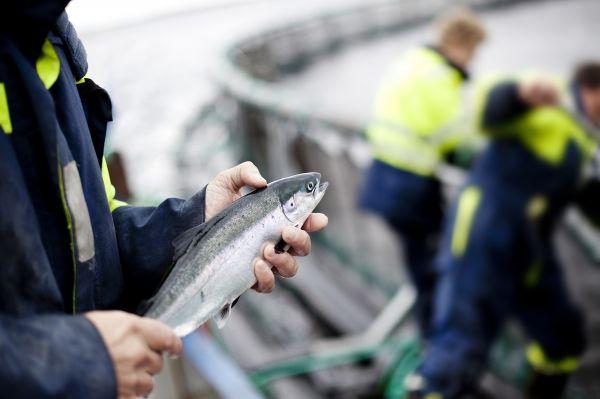 Viktig at kommunene vil Ikke forpliktet til å planlegge i sjø, men veldig viktig at det gjøres