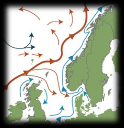 Hvorfor lakseoppdrett i nord? Vi har en lang og svært egnet kystlinje.