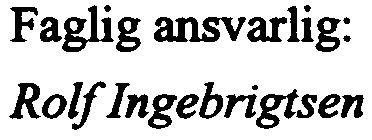 Faglig ansvarlig: Rolf Ingebrigtsen Eksamenstid:0900-1200 Eksamensoppgaven består