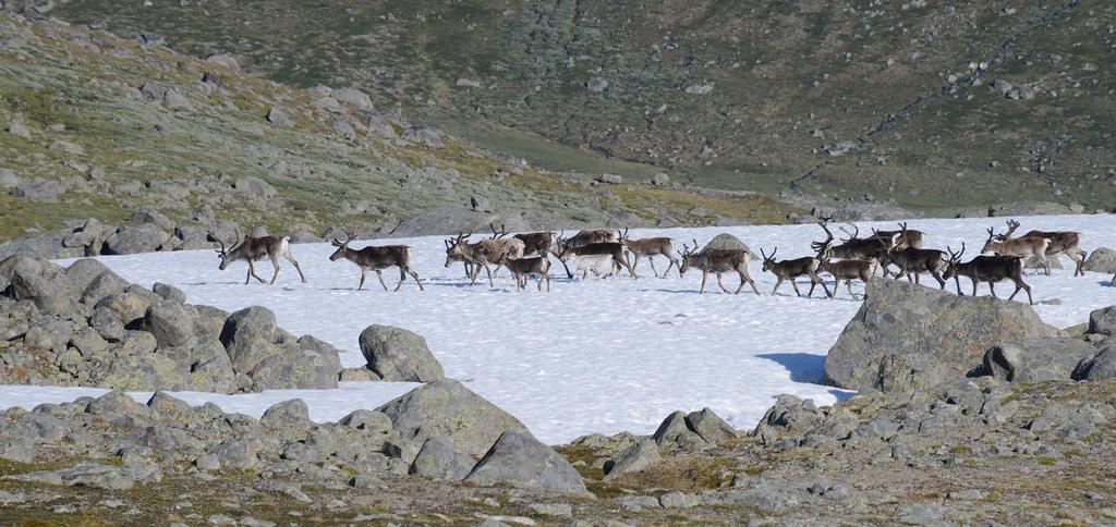 Utvikling av kulturminneforvaltningen i et endret klima Videreføring av pilotprosjekt Aurland til å omfatte flere fylker og kommuner Kunnskapsbank Bedre