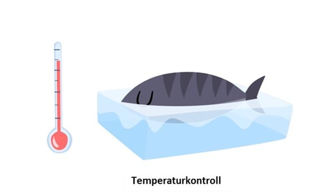 Reducing waste of marine resources Increase shelf life Frozen and "super