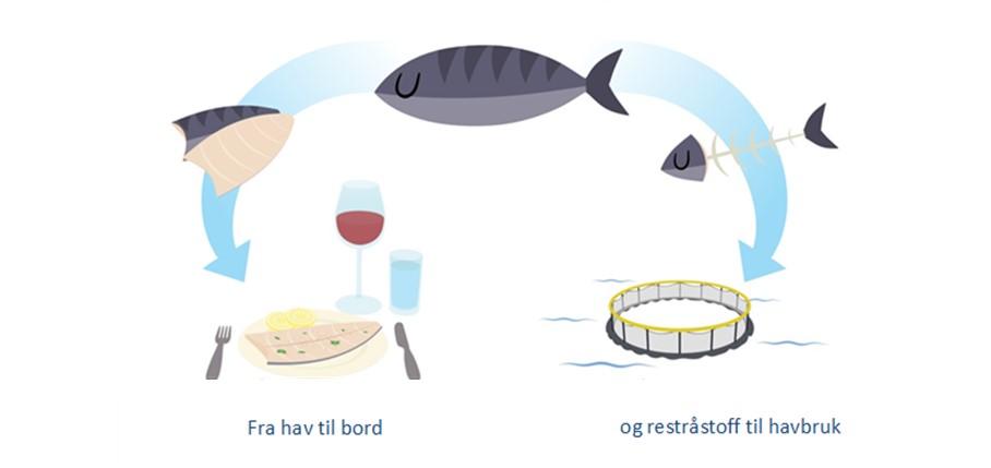 Side flows Norwegian fisheries and aquaculture 2015: 3,44 millions tonne raw materials (fish and crustaceans) from Norwegian fisheries- and aquaculture