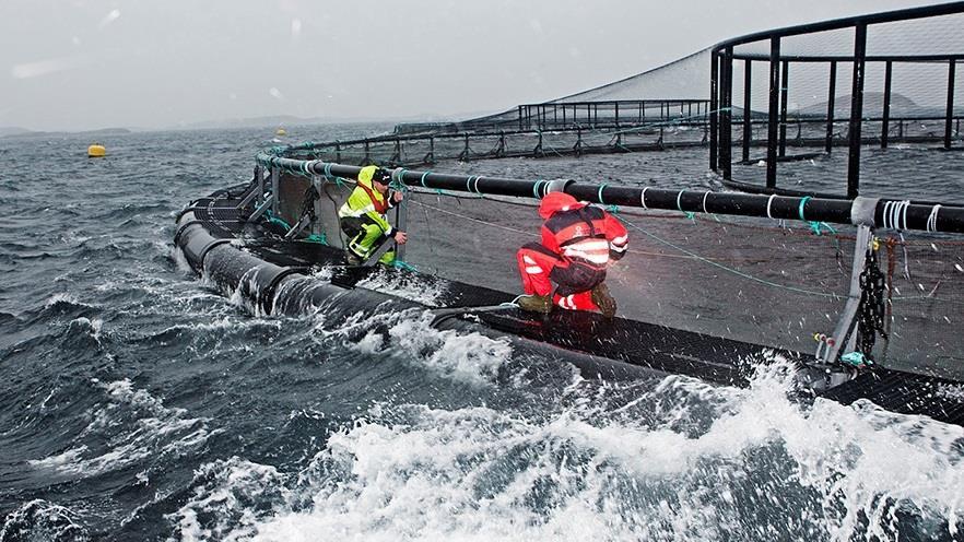 Photo: Aqualine Sammen skal vi utvikle kunnskap og teknologi for