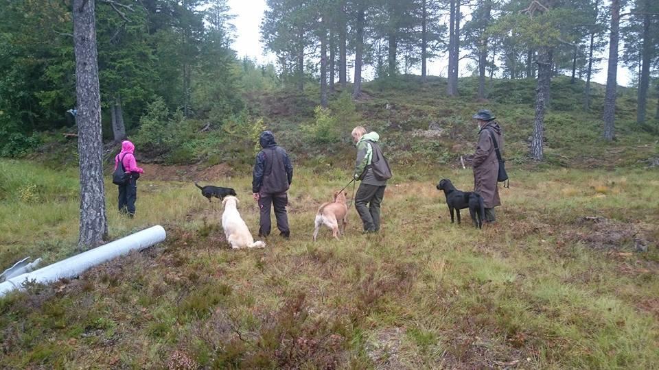 Hund og fører går sammen mot ett anvist punkt. Dommer/medhjelper kaster en enkeltmarkering på land. Denne skal ikke hentes. Deretter kastes en markering på vann som ikke hentes.