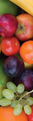 Kosteffektivt skolefruktprogram Å tilby gratis frukt i grunnskolen ville blir kosteffektivt hvis det resulterte i livslang økning i daglig inntak av frukt/grønnsaker med