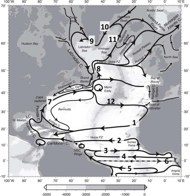 Side 6 av 13 6 Equatorial Undercurrent Ekvatoriale understrøm 7 Gulf Stream Golfstrømmen 8 North Atlantic Current Nordatlantiske strøm/drift 9 West Greenland Current Vestgrønlandsstrømmen 10 East