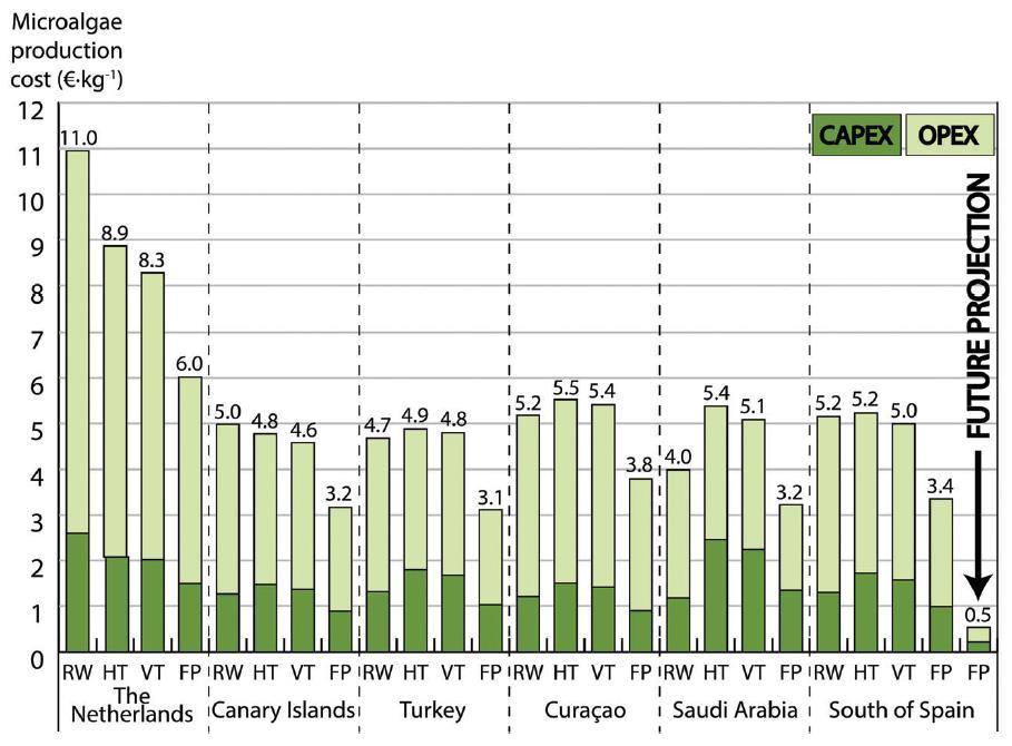 TEA & projected microalgae biomass production costs RW: raceway pond; HT: horizontal tubular photobioreactor; VT: vertically