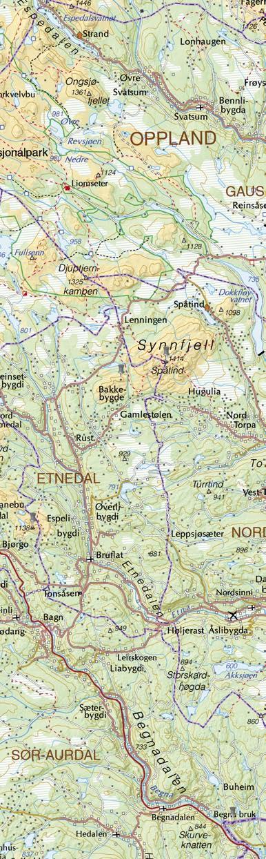 Spåtind Grønsennknippa er trolig den mest populære toppen i Vestre Slidre, og ikke uten grunn. Turen er flott og utsikten flottere. Det går tydelige og til dels merkede stier fra nord, øst og sør.