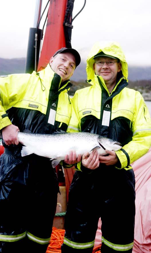 Kampen om matfatet Produktet Nesten all norsk laks treffer i dag konsumenten som foredlet produk Ingen har tid, lyst eller kunnskap om å ta fatt på en hel, stor