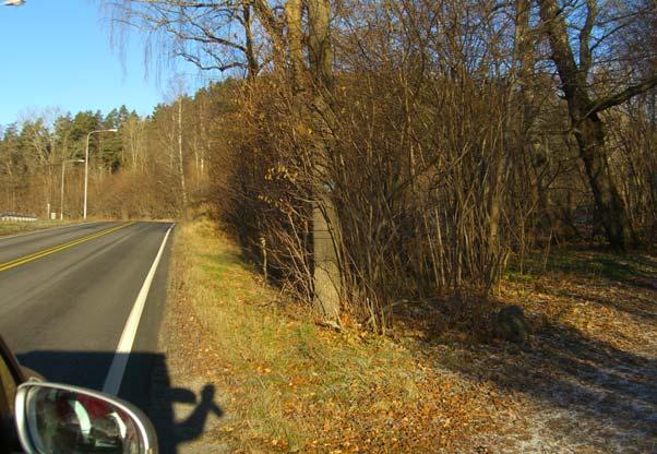 Punkt nr.: 4 Fv68 Fra Oslo til E6 6440-6480 med Rett etter innkjøringen til Steinskogen gravlund og ca 40 meter retn nordvest.