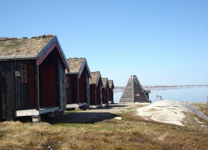 NESJØEN Fiskebuer mobiltlf 949 86 587 (hele året) e-post: post@fiskeitydal.no www.fiskeitydal.no Nesjøen sies å være Nord-Europas rikeste røyevann, vakkert beliggende ved foten av Sylan.