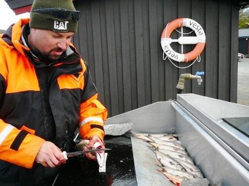 Vannpost ute eller sanitærbygget kan benyttes varmt og kaldt vann. Sanitærbygget inneholder toaletter, dusj, tørkerom og felles oppholdsrom. I storlavvoen er det plass til ca 30 personer.