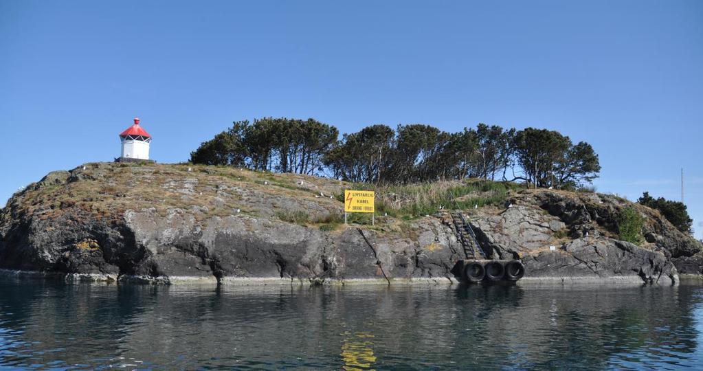 4. ANBEFALINGER OM SKJØTSEL På Tjuholmen vokser det en betydelig klynge av buskfuru/bergfuru.