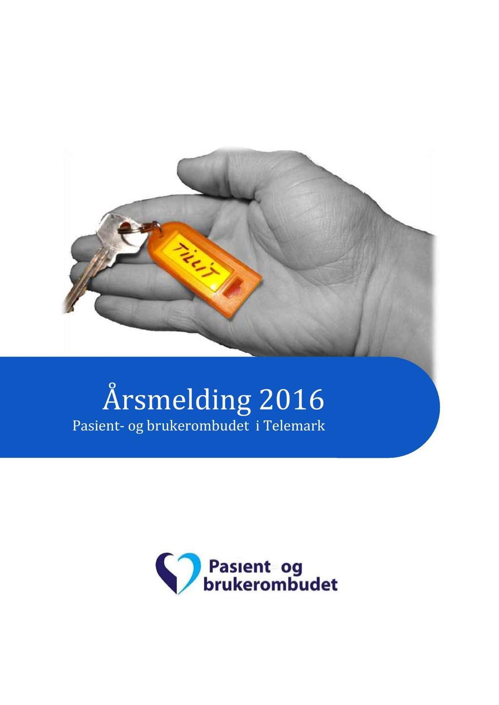 Årsmelding 2016 Pasient - og