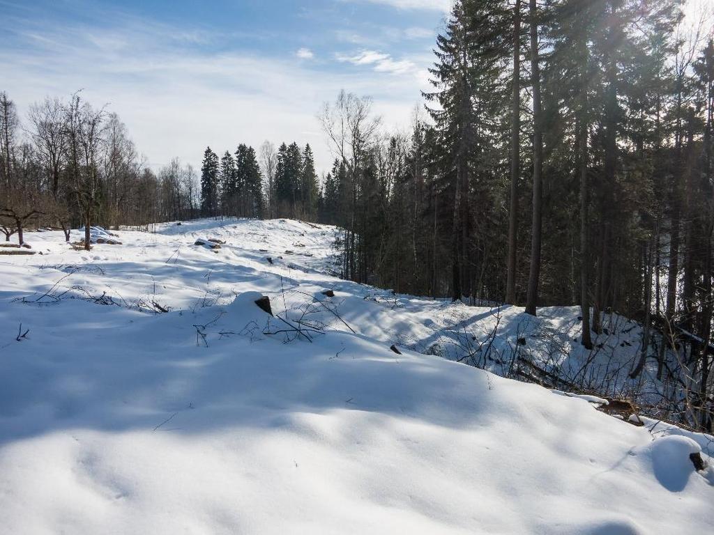 Drøfting av tiltak som ønskes gjennomført i spesialområde naturvern Som en del av forarbeidet til selve byggeperioden ble all skog øst for spesialområdet naturvern fjernet i uke 8 i 2016, med unntak