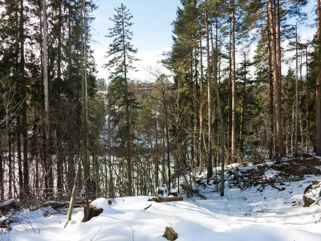 I nord er det en mindre siktkorridor som først og fremst gir sikt ut mellom trekronene og i liten grad langs bakkeplanet.