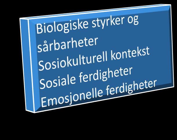 SKJULT MOBBING OBSERVASJON FOR Å FOREBYGGE AVDEKKING SAMTALER