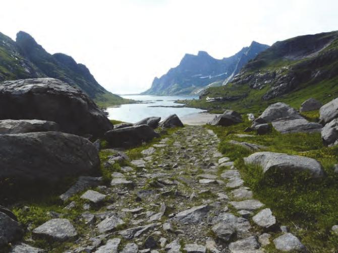 Beite, bålbrenning og plukking av vanlige planter til eget bruk er tillatt innenfor de rammene som settes av annet lovverk, jf. pkt. 2.2 a), b), c) og d).