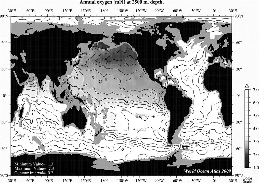 silikat, dersom det ikke var planteplankton i havet?