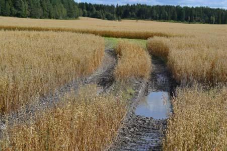 Klimaforhold (nedbørsmengde og intensitet) vil også påvirke det naturgitte dreneringsbehovet (temakartene tar ikke høyde for dette). 4.