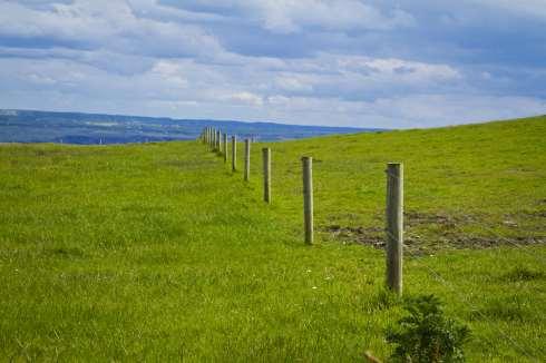 Oppgave 7 (0,5 + 1 + 1 + 2 poeng) Hele åkeren til bonden er på ca. 3000 m 2. 1000 m 2 = 1 mål = 1 daa.