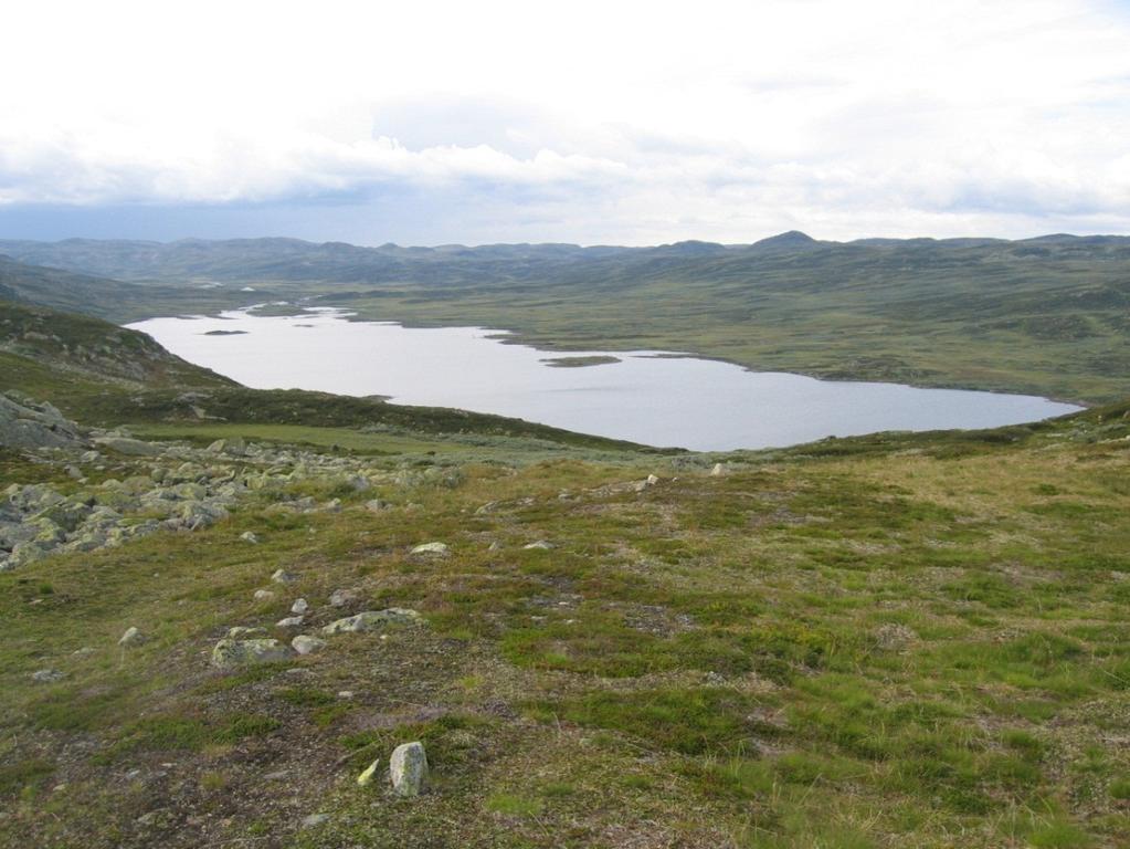 Figur 2. Sandvatn sett mot vest. Fylkesgrensen mellom Telemark og Hordaland går nær innløpet. 2. Dybdekart og morfometri Sandvatn og Dargesjåen er grunne innsjøer med maksimaldyp på 13 til 15 m (Fig.