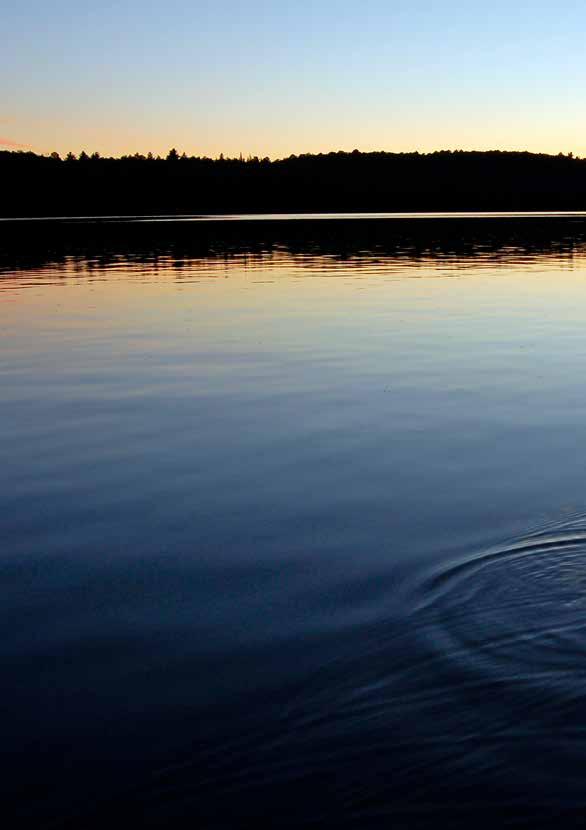 HVA MENER NJFF OM jaktrett, fiskerett og grunneierrett NJFF anerkjenner grunneiers enerett til jakt og fiske.