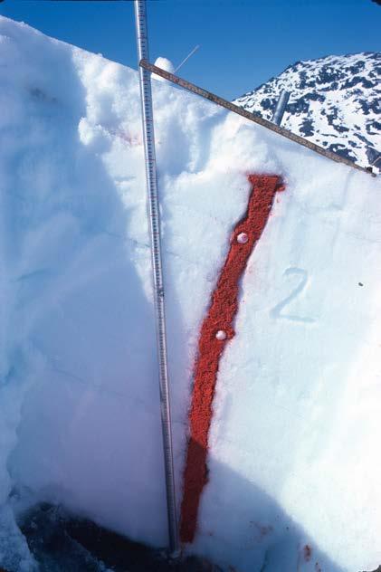 4.3 Snøsig Figur 21: Snøsig oppstår når snøen setter seg. Sidebevegelsen oppstår i skrått terreng og setter seg sammen av sig og glidning (Figurer fra Lied og Kristensen 2004). 4.3.1 Snøsigforhold i høyfjellet i Norge Snøsig er den vertikale bevegelsen som oppstår når snøen setter seg.