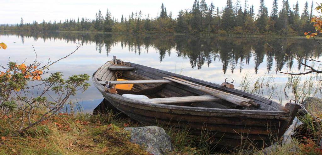 Prøvefiske i Gausdal statsallmenning 2004-2014 Om prøvefiske I Gausdal statsallmenning blir det gjennomført diverse tiltak for å forbedre fisket og fiskemulighetene.