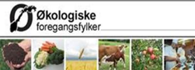 Tekniske forutsetninger Lys ünorsk helårs