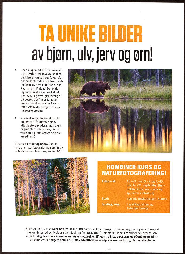 Rovdyropplevelser og fotografering 2017 I samarbeid med Wildlife Safaris Finland/Articmedia, Lassi Rautiainen og hans familie i Finland inviterer Asle Hjellbrekke til workshop i Finland i 2017.
