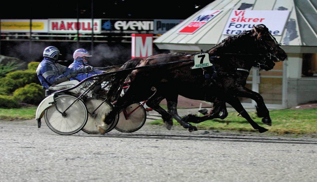 Se opp for neste gang: Lucky Black Pearl gjorde et meget sterkt løp i kveld og skal passes fremover. En annen som virker å være pågang er Libeccio Sun, han leverte en solid avslutning i sitt løp.