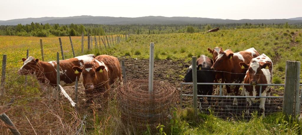 Gjerdeskipnad mellom eigedommar står ved